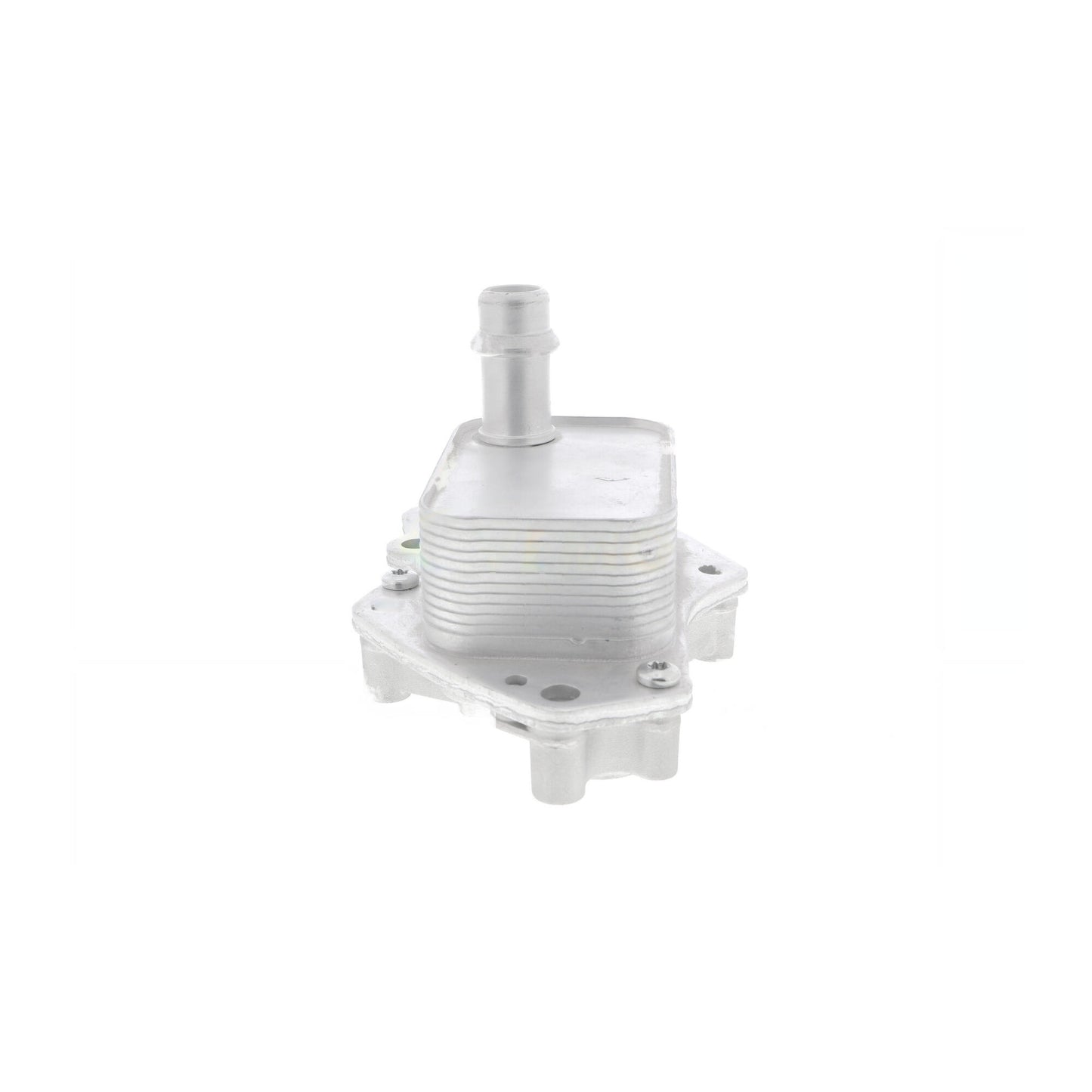 VEMO Oil Cooler, engine oil V40-60-2102