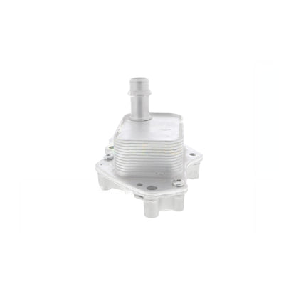 VEMO Oil Cooler, engine oil V40-60-2102