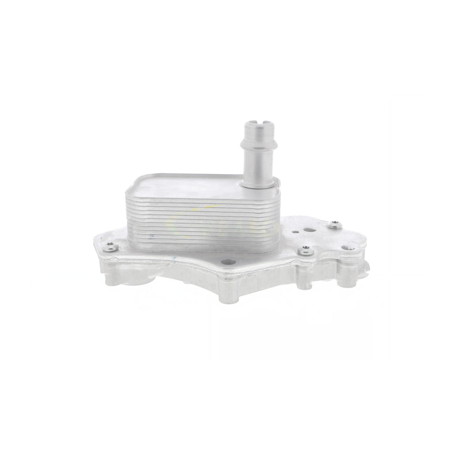 VEMO Oil Cooler, engine oil V40-60-2102