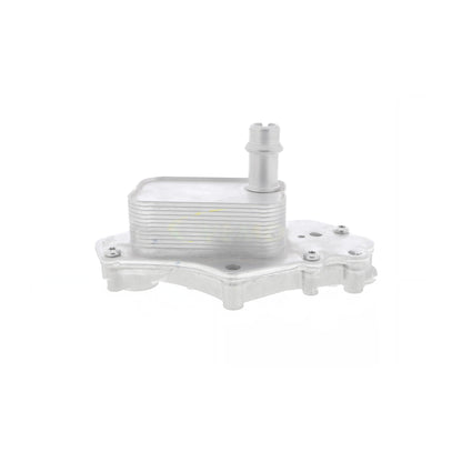VEMO Oil Cooler, engine oil V40-60-2102