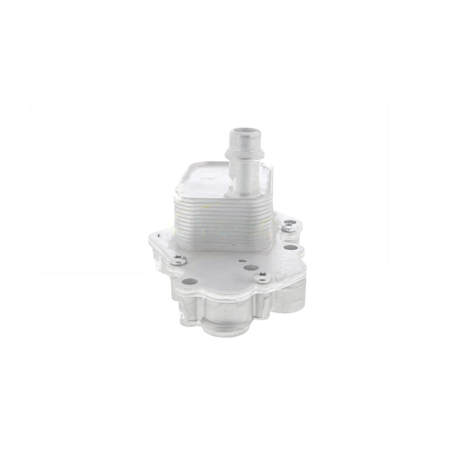 VEMO Oil Cooler, engine oil V40-60-2102