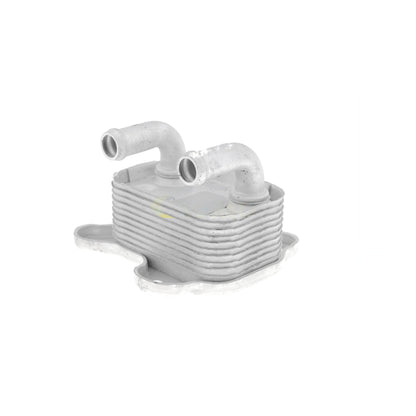 VEMO Oil Cooler, engine oil V40-60-2103