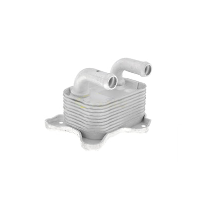 VEMO Oil Cooler, engine oil V40-60-2103