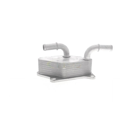 VEMO Oil Cooler, engine oil V40-60-2104