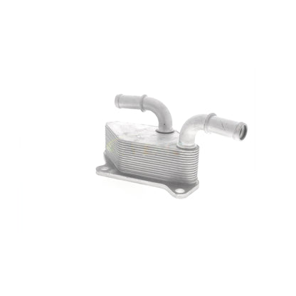 VEMO Oil Cooler, engine oil V40-60-2104