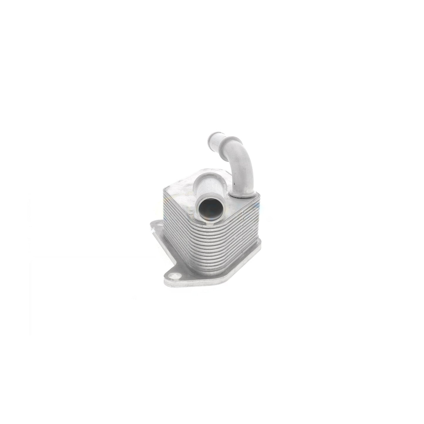 VEMO Oil Cooler, engine oil V40-60-2104