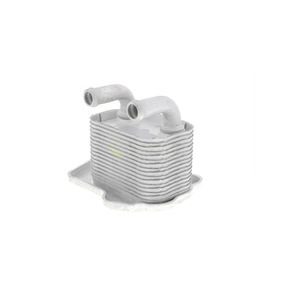 VEMO Oil Cooler, engine oil V40-60-2105