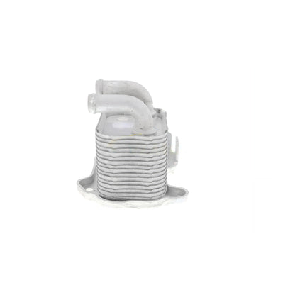VEMO Oil Cooler, engine oil V40-60-2105