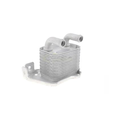 VEMO Oil Cooler, engine oil V40-60-2105