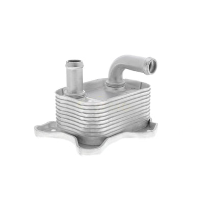 VEMO Oil Cooler, engine oil V40-60-2106