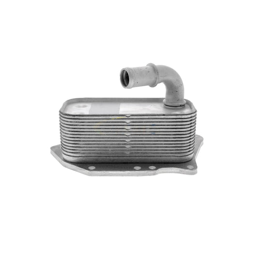 VEMO Oil Cooler, engine oil V40-60-2107
