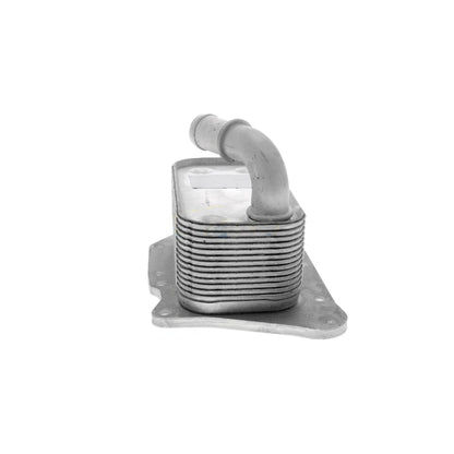 VEMO Oil Cooler, engine oil V40-60-2107