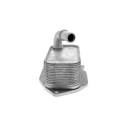 VEMO Oil Cooler, engine oil V40-60-2107