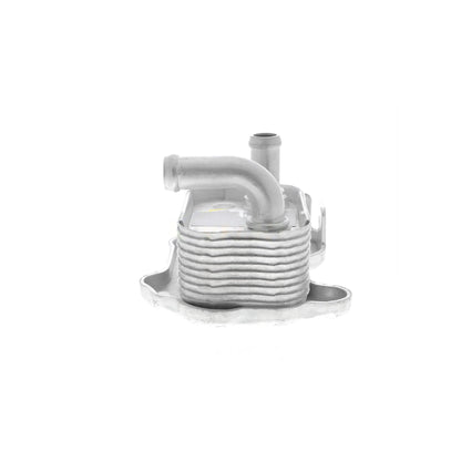 VEMO Oil Cooler, engine oil V40-60-2110