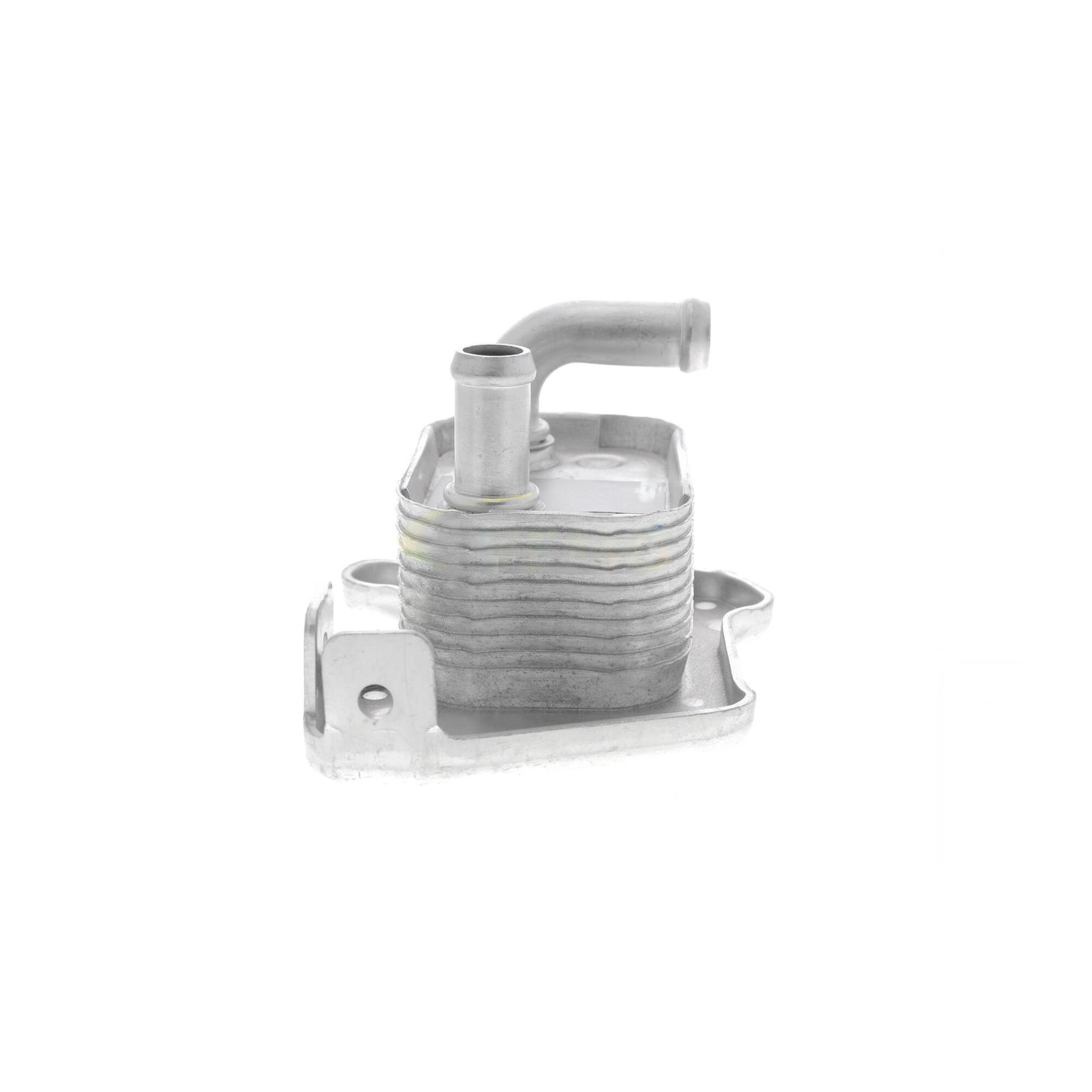 VEMO Oil Cooler, engine oil V40-60-2110