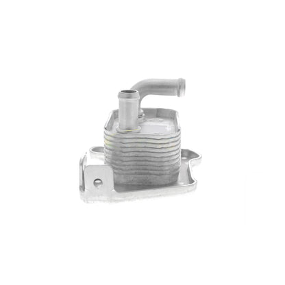 VEMO Oil Cooler, engine oil V40-60-2110