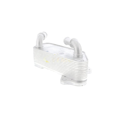 VEMO Oil Cooler, engine oil V40-60-2118