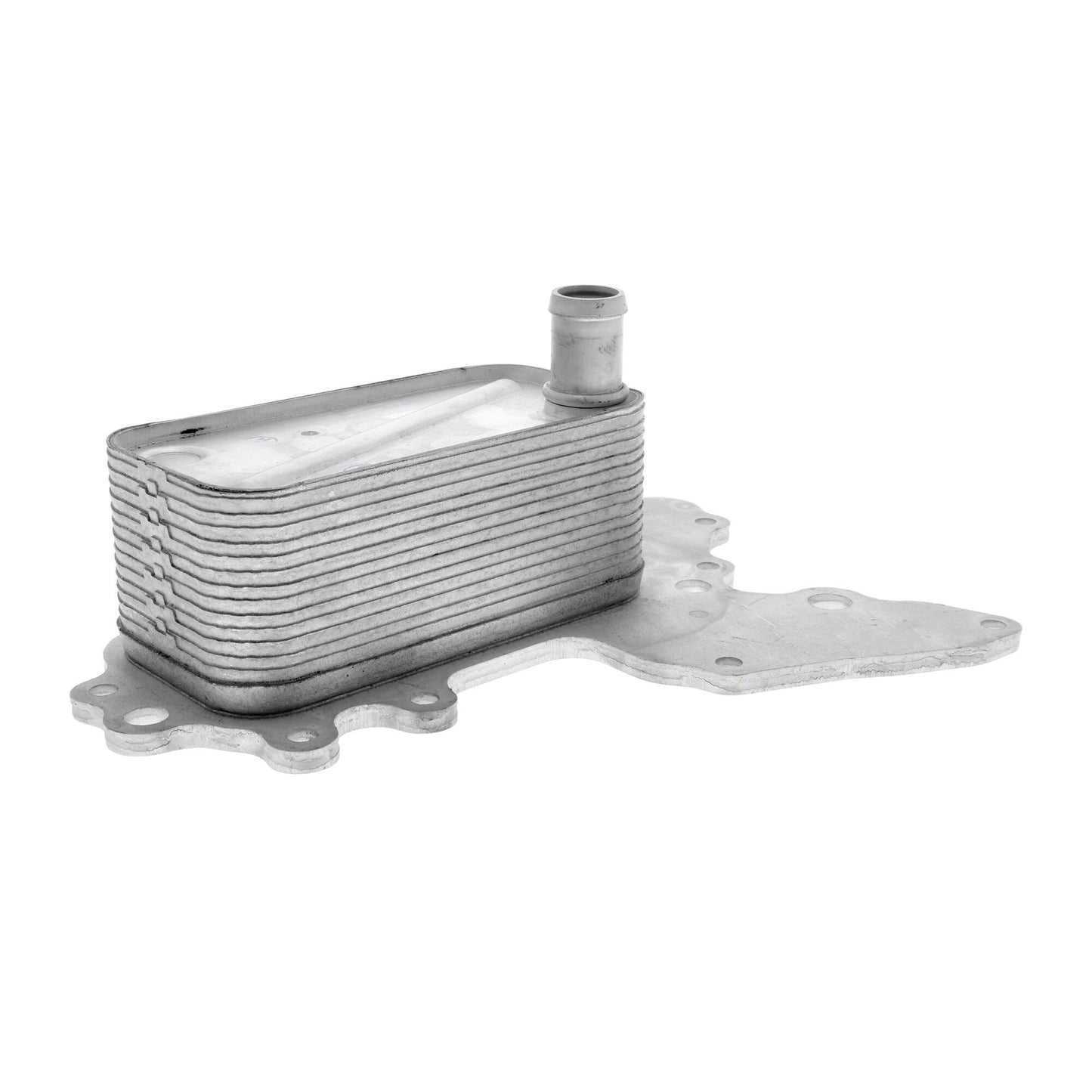 VEMO Oil Cooler, engine oil V40-60-2119