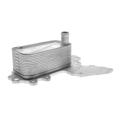 VEMO Oil Cooler, engine oil V40-60-2119