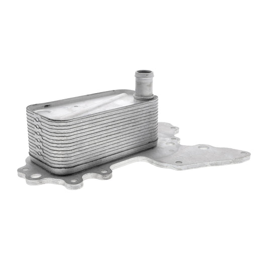 VEMO Oil Cooler, engine oil V40-60-2119