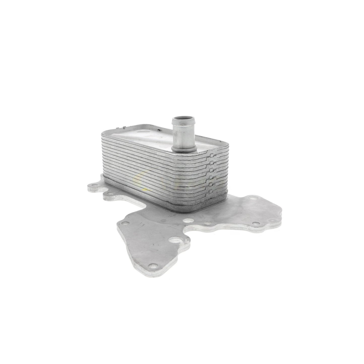 VEMO Oil Cooler, engine oil V40-60-2119