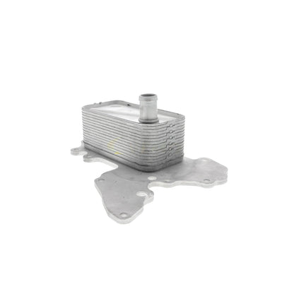 VEMO Oil Cooler, engine oil V40-60-2119