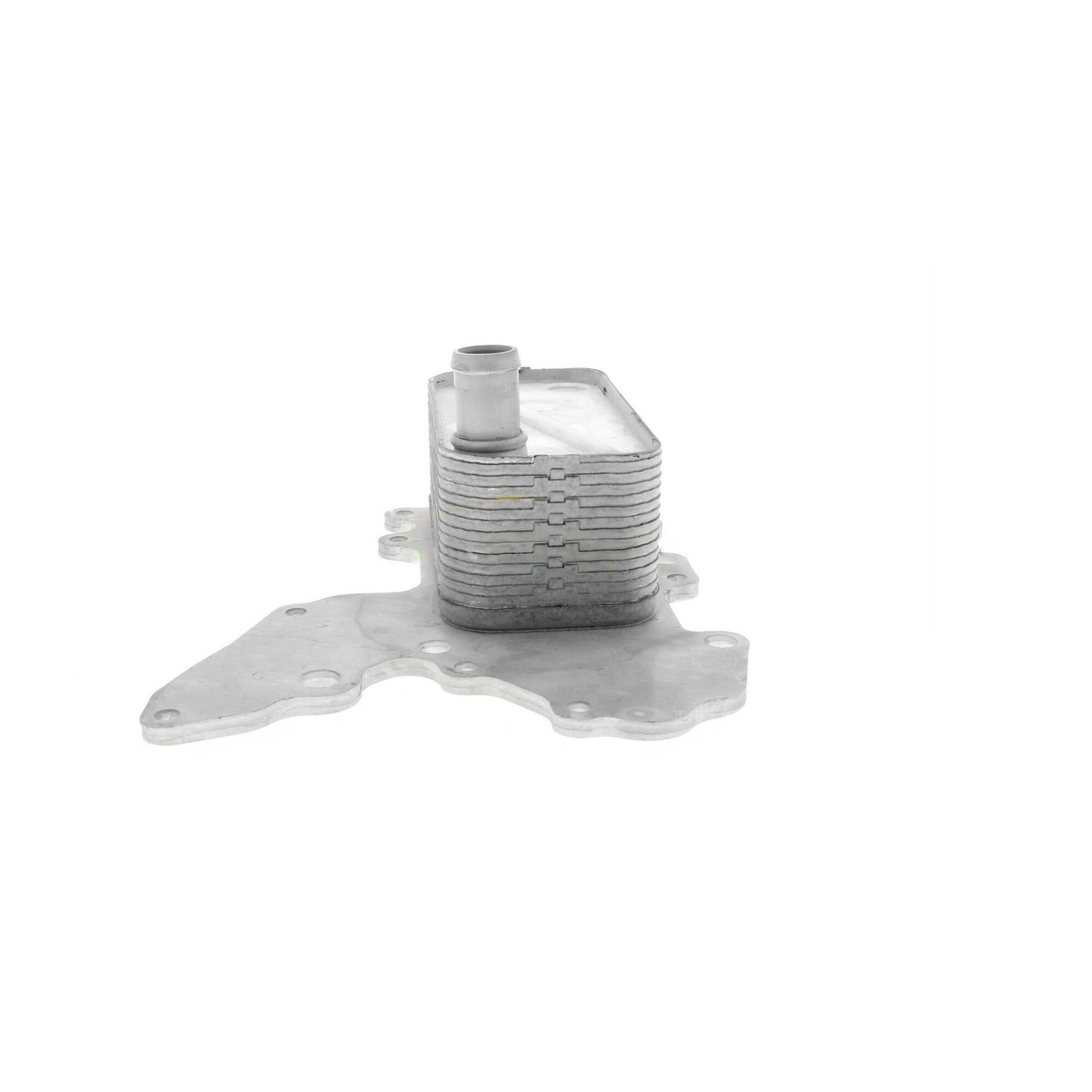VEMO Oil Cooler, engine oil V40-60-2119