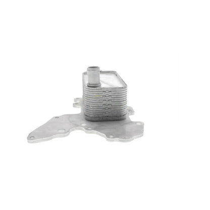 VEMO Oil Cooler, engine oil V40-60-2119