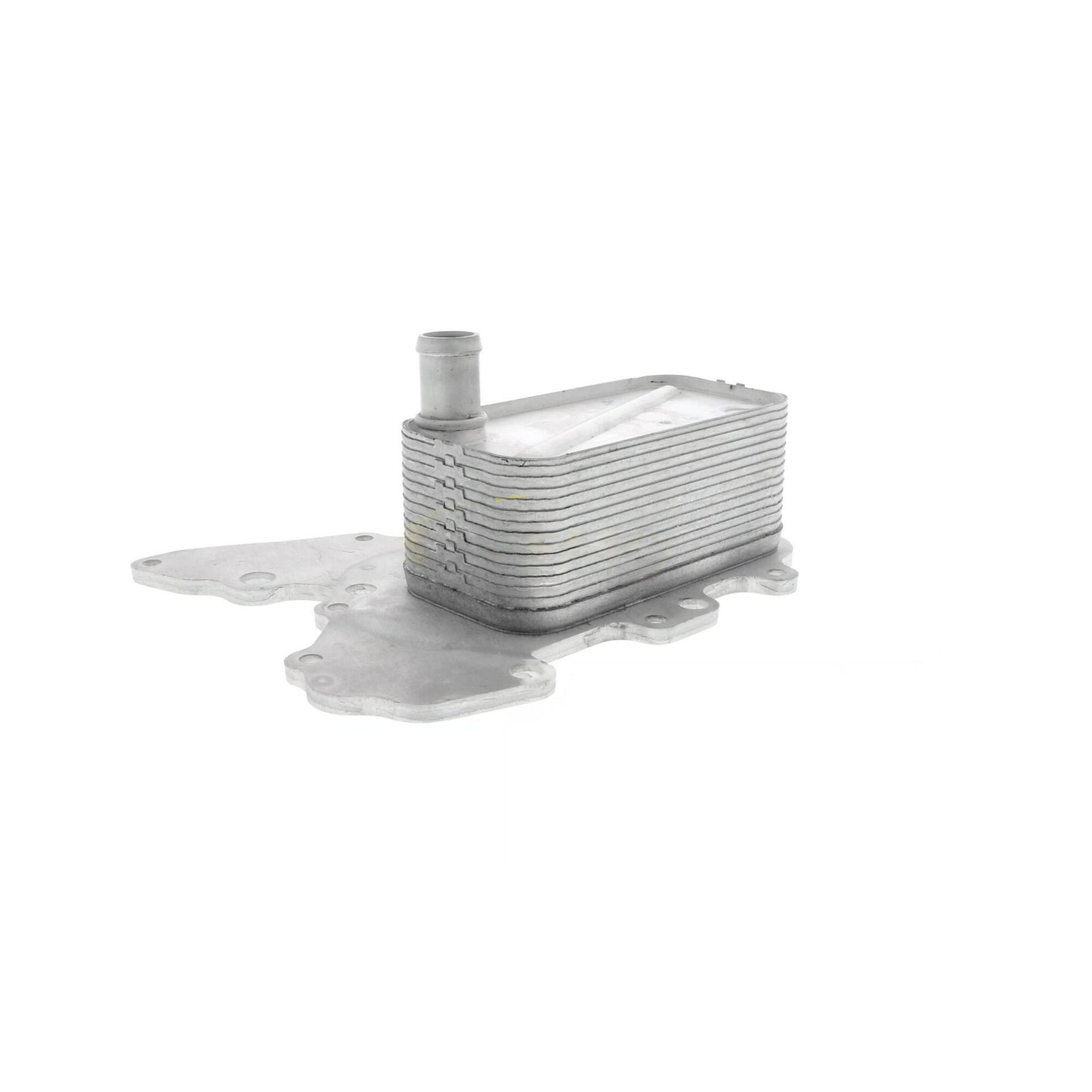 VEMO Oil Cooler, engine oil V40-60-2119