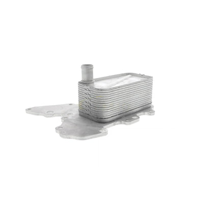 VEMO Oil Cooler, engine oil V40-60-2119