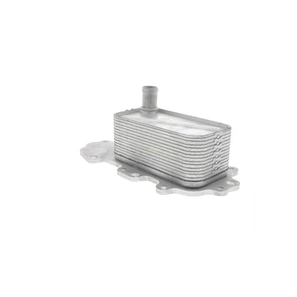 VEMO Oil Cooler, engine oil V40-60-2119