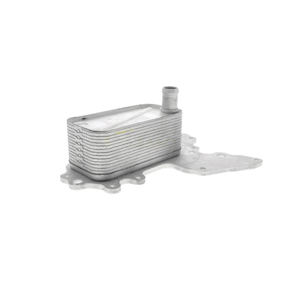 VEMO Oil Cooler, engine oil V40-60-2119