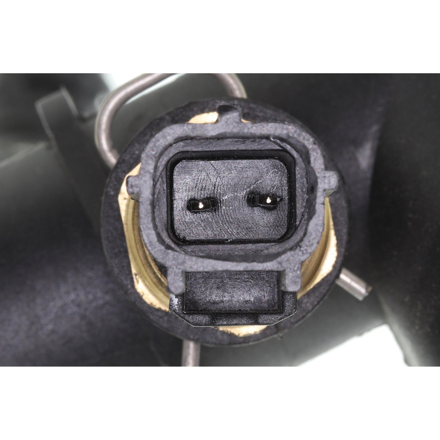 VAICO Radiator Hose V41-0037