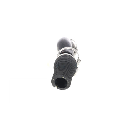 VAICO Charge Air Hose V42-0598