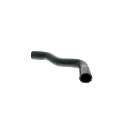 VAICO Radiator Hose V42-0669