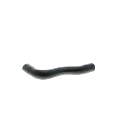 VAICO Radiator Hose V42-0669