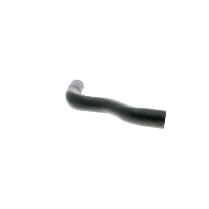 VAICO Radiator Hose V42-0669