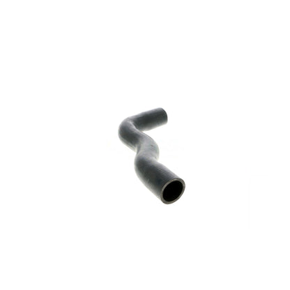 VAICO Radiator Hose V42-0669
