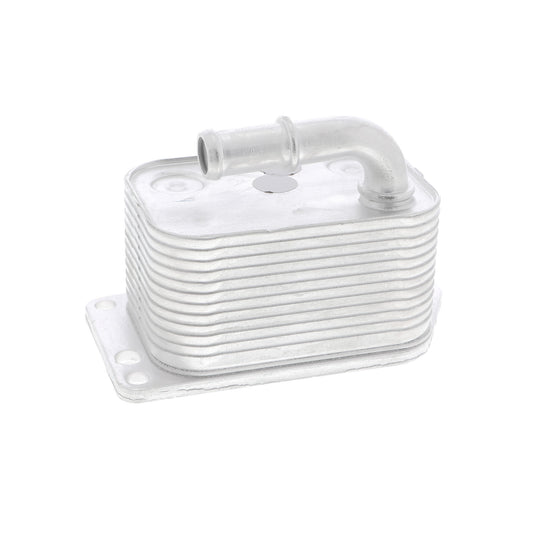 VEMO Oil Cooler, engine oil V42-60-0005