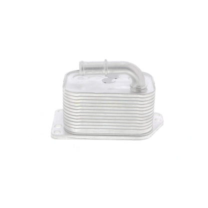 VEMO Oil Cooler, engine oil V42-60-0005