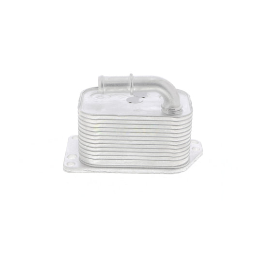 VEMO Oil Cooler, engine oil V42-60-0005