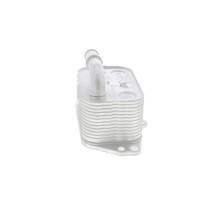 VEMO Oil Cooler, engine oil V42-60-0005