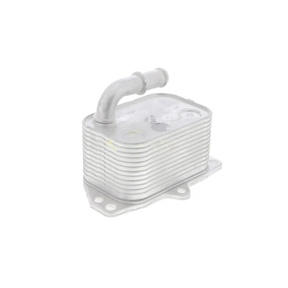 VEMO Oil Cooler, engine oil V42-60-0005