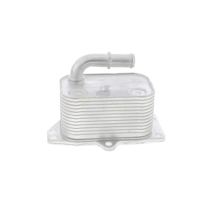 VEMO Oil Cooler, engine oil V42-60-0005