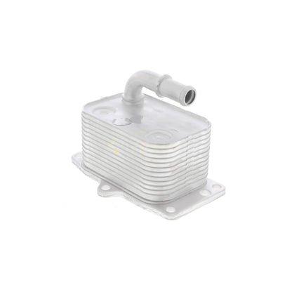 VEMO Oil Cooler, engine oil V42-60-0005