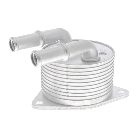 VEMO Oil Cooler, automatic transmission V42-60-0012