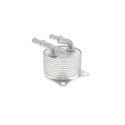 VEMO Oil Cooler, automatic transmission V42-60-0012