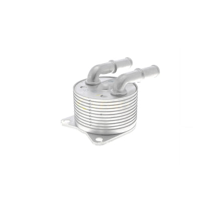 VEMO Oil Cooler, automatic transmission V42-60-0012