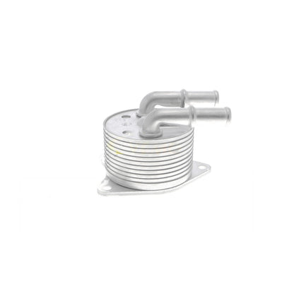 VEMO Oil Cooler, automatic transmission V42-60-0012
