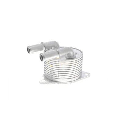 VEMO Oil Cooler, automatic transmission V42-60-0012